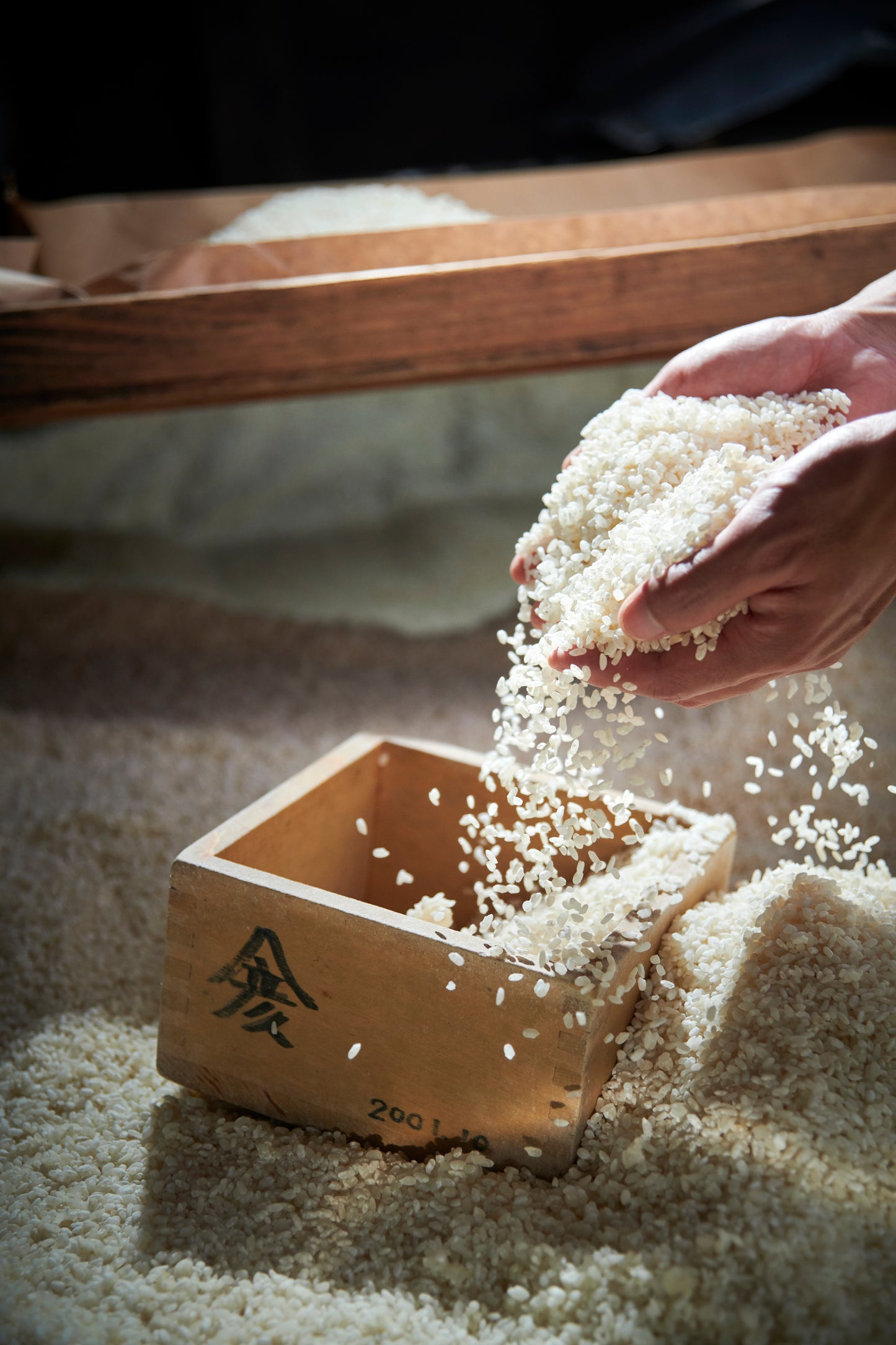 令和7年 新米 池田町産コシヒカリ 玄米!!