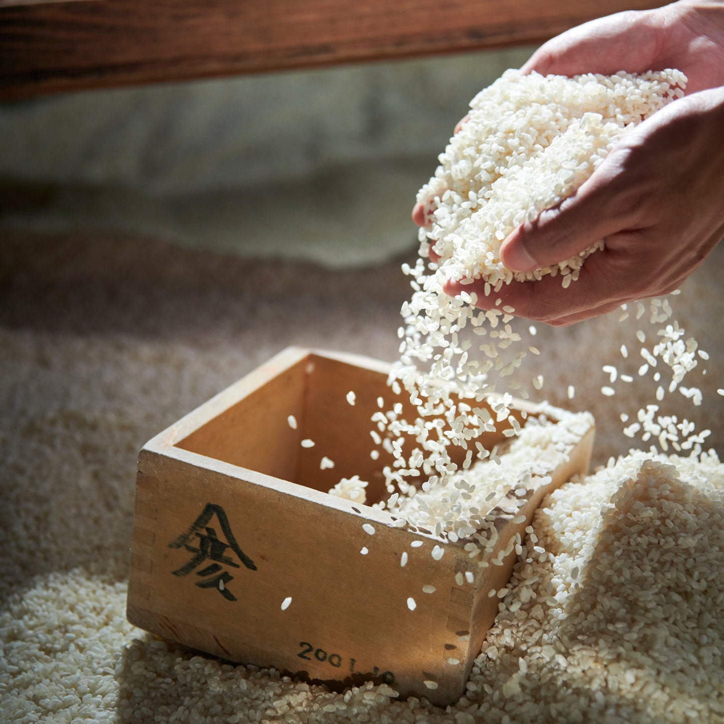 令和7年 新米 池田町産コシヒカリ 精米!!