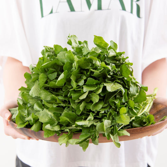 クレソン 単品購入 お得大容量【500g】