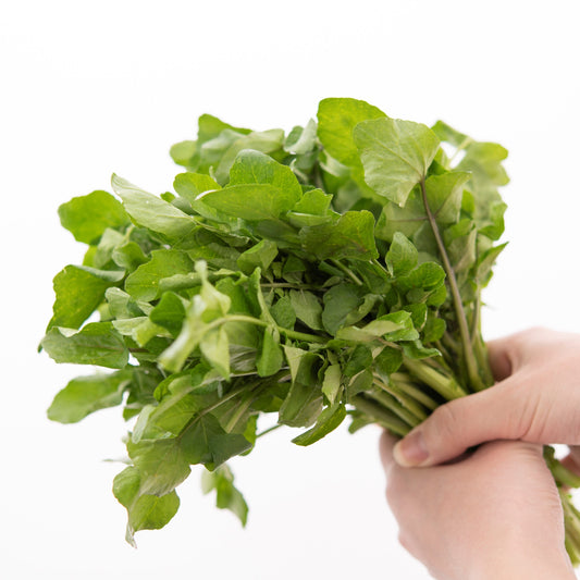 クレソン 単品購入 お得大容量【1㎏】