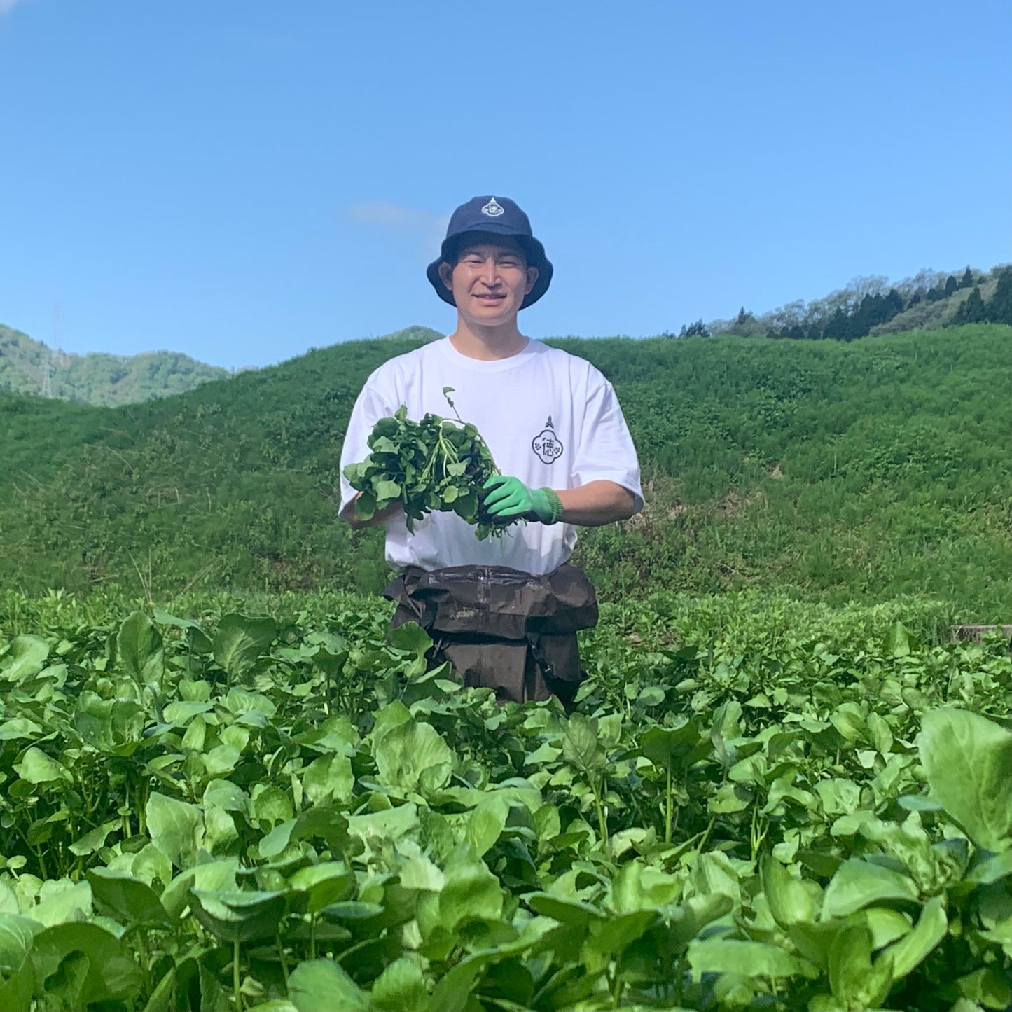 クレソン 単品購入 お得大容量【1㎏】